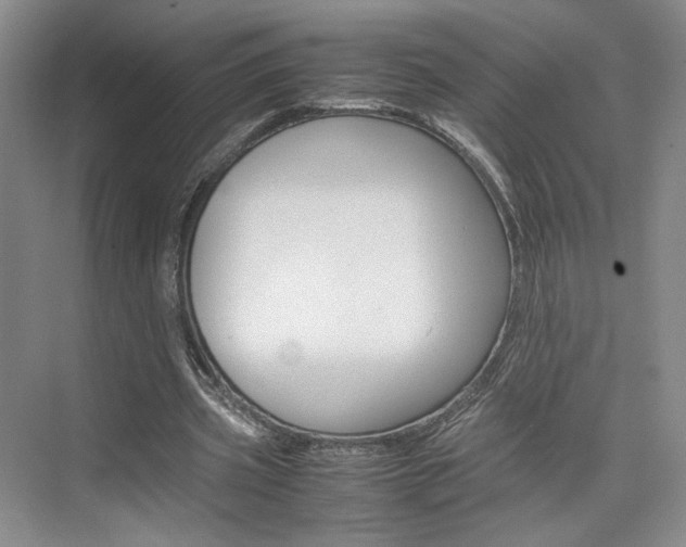 X0000074970533200609011019