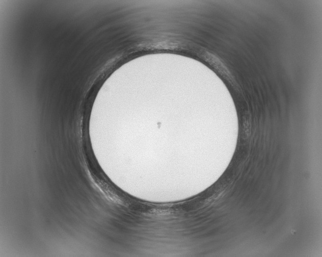 X0000074970534200609011019