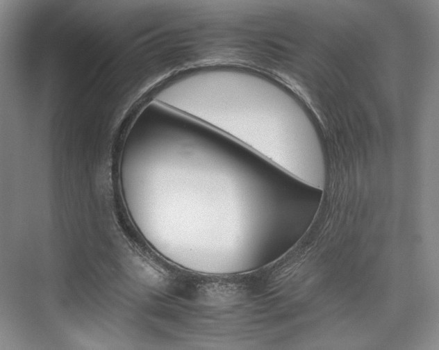 X0000074970535200609011019