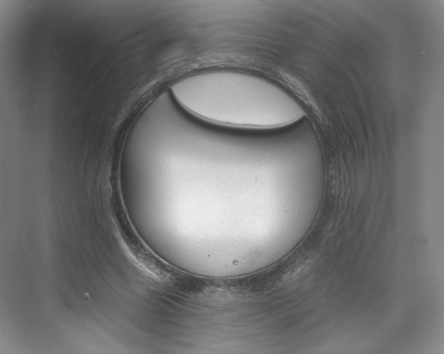 X0000074970538200609011019