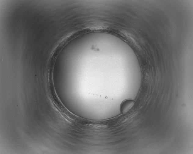 X0000074970539200609011019