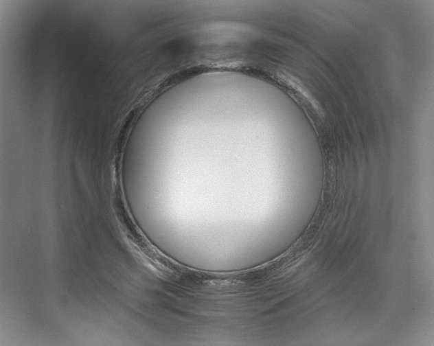 X0000074970541200609011019