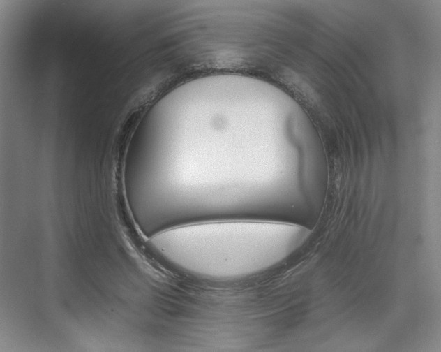 X0000074970542200609011019