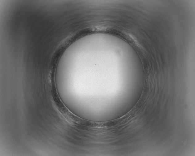 X0000074970543200609011019