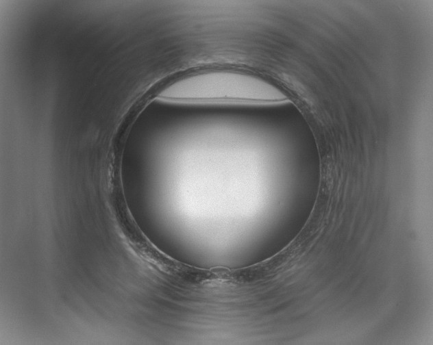 X0000074970544200609011019