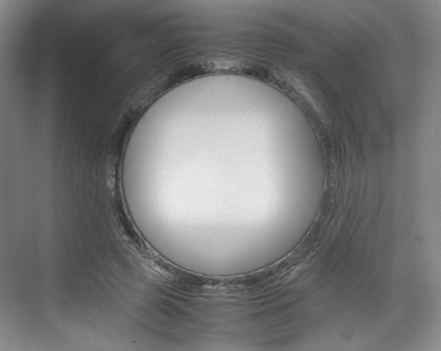 X0000074970545200609011019