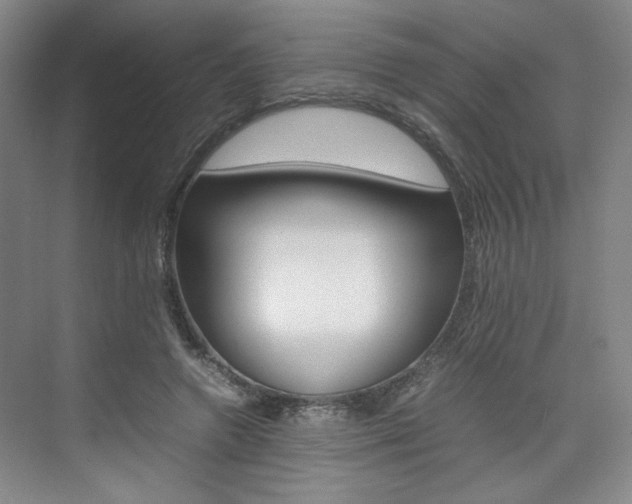 X0000074970546200609011019