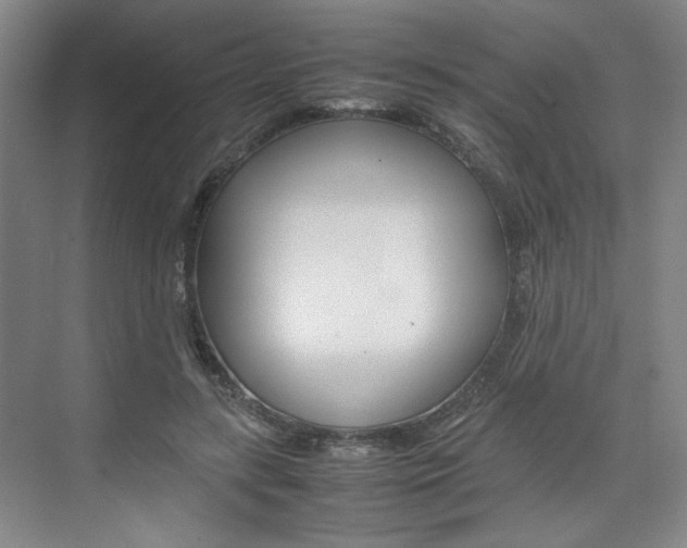 X0000074970547200609011019