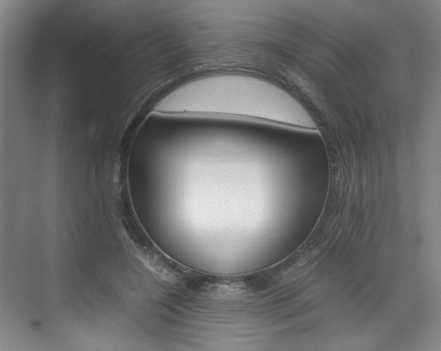 X0000074970548200609011019