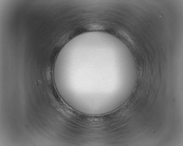 X0000074970549200609011019