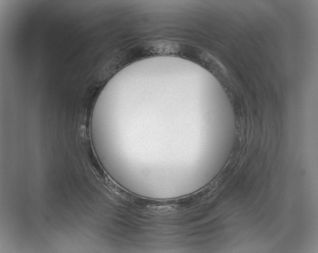 X0000074970553200609011019