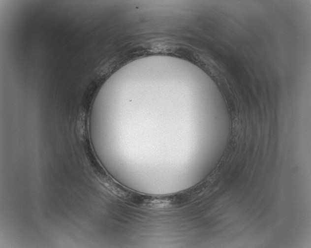 X0000074970554200609011019