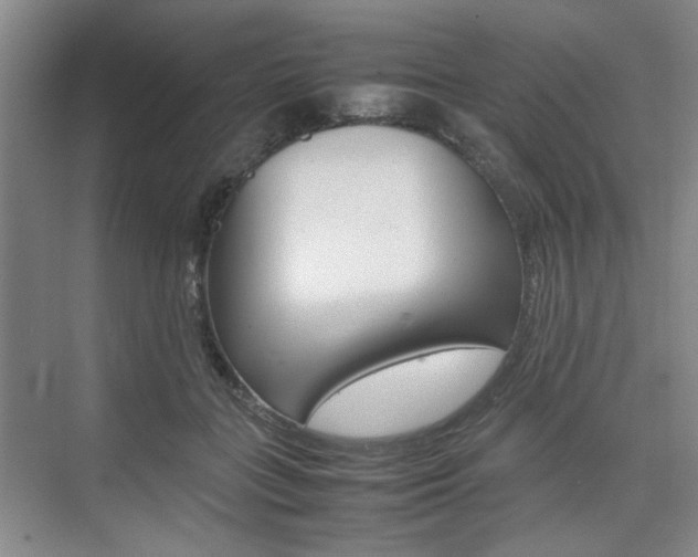 X0000074970555200609011019