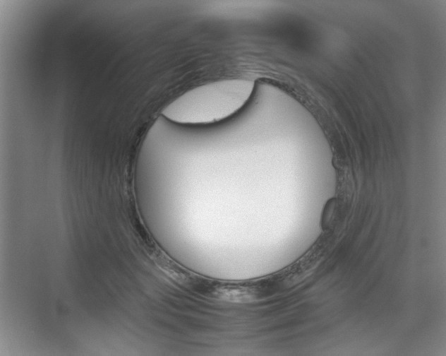 X0000074970557200609011019