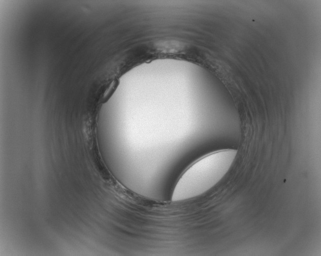 X0000074970559200609011019