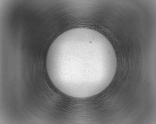 X0000074970560200609011019