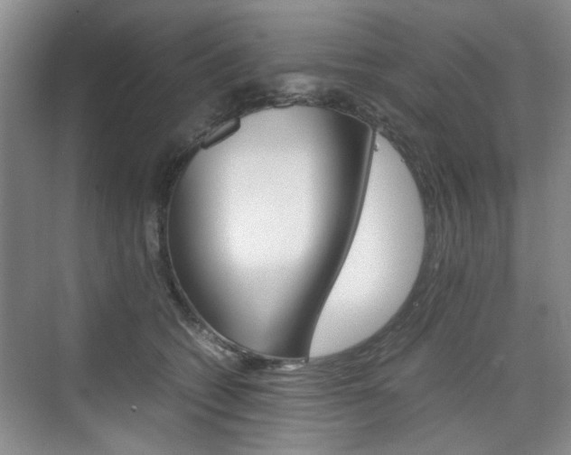 X0000074970562200609011019