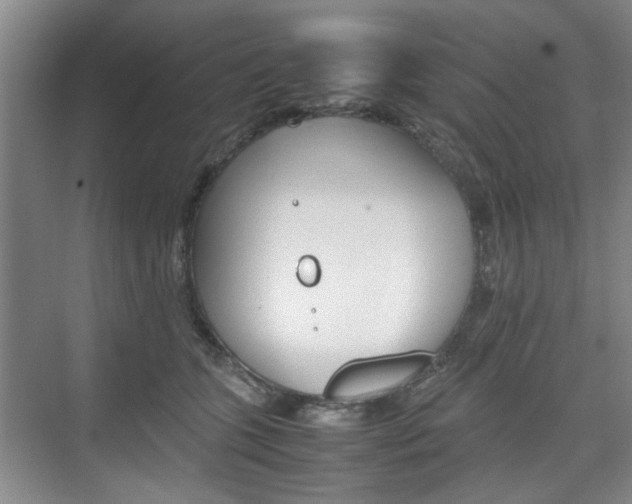 X0000074970563200609011019