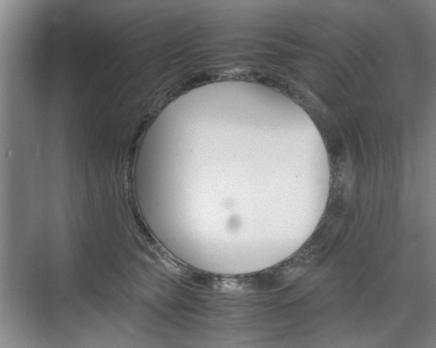 X0000074970565200609011019