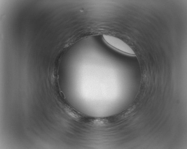 X0000074970566200609011019