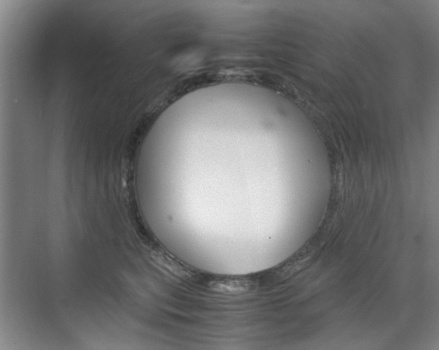 X0000074970567200609011019