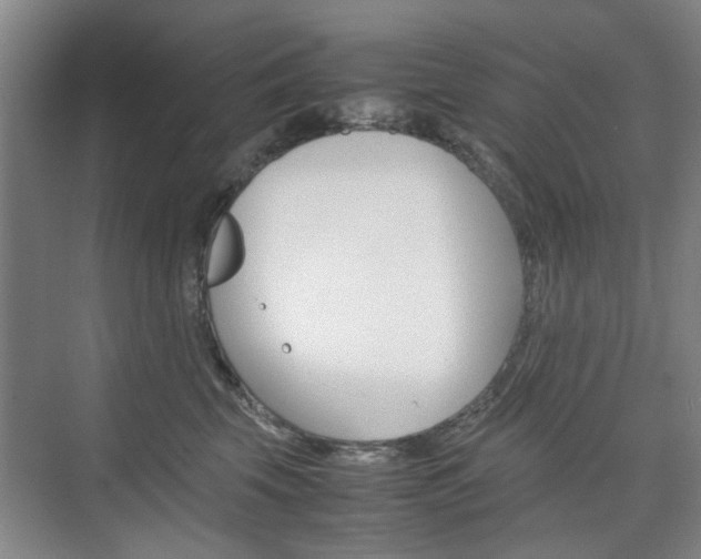 X0000074970569200609011019