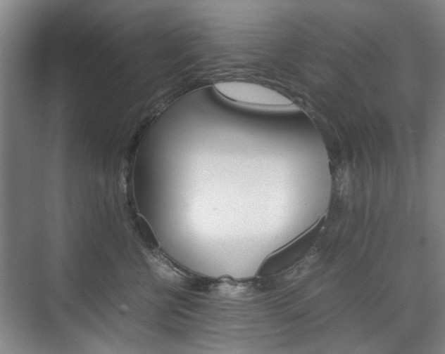 X0000074970570200609011019