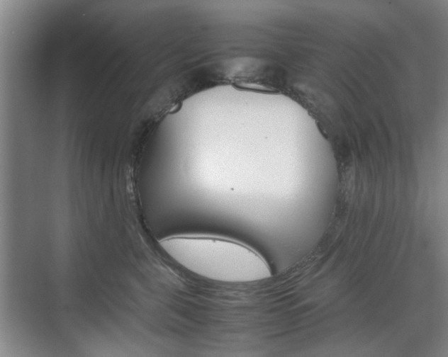 X0000074970571200609011019