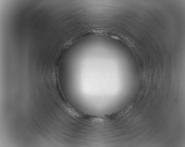 X0000074970572200609011019