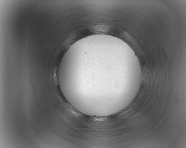 X0000074970573200609011019