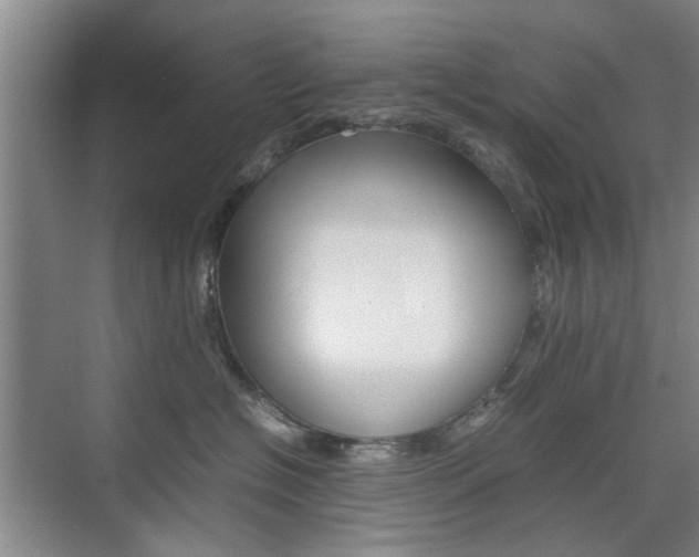 X0000074970574200609011019