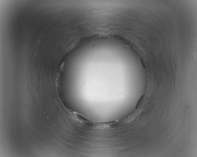 X0000074970576200609011019