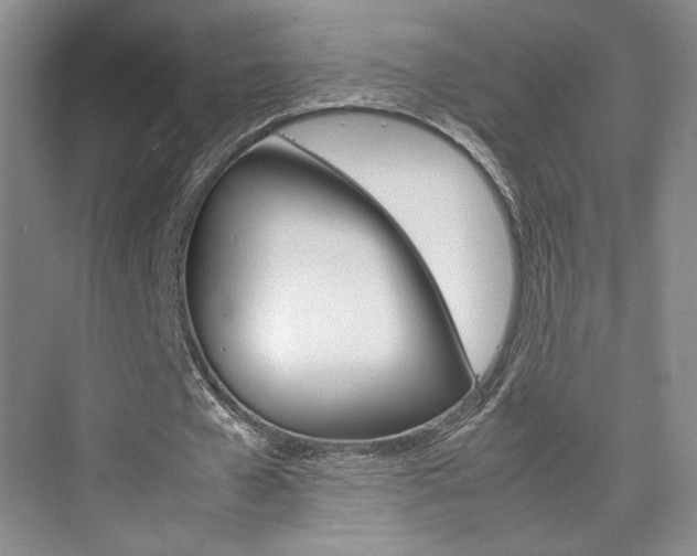 X0000074970577200609011019