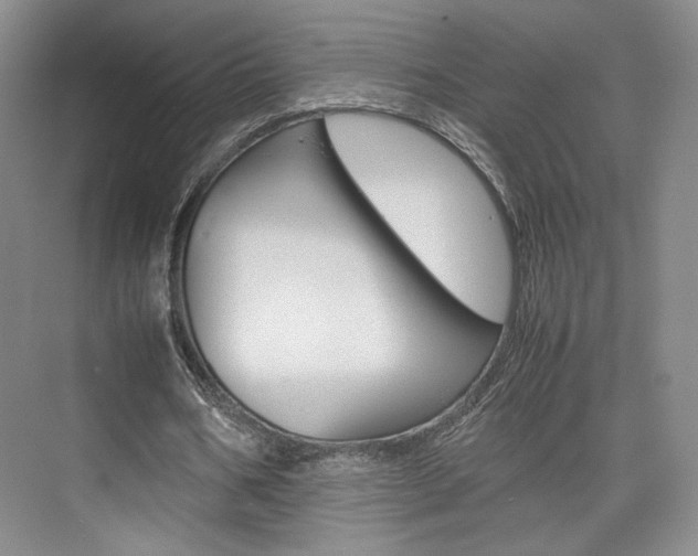 X0000074970578200609011019