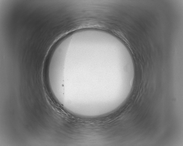 X0000074970579200609011019