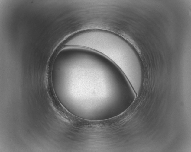 X0000074970580200609011019