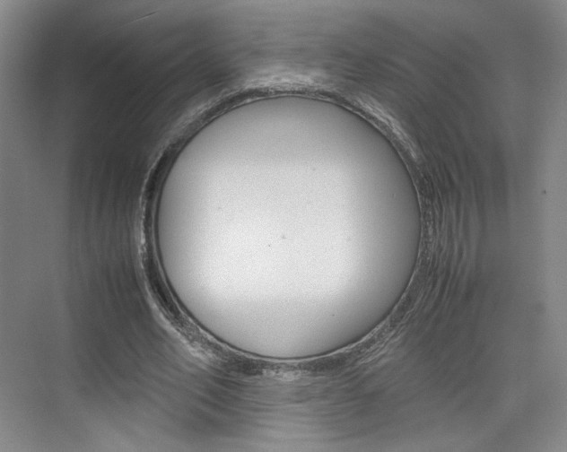 X0000074970582200609011019