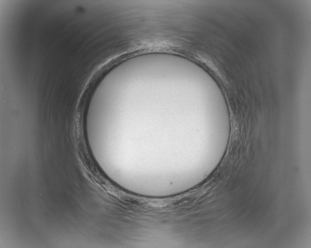 X0000074970583200609011019