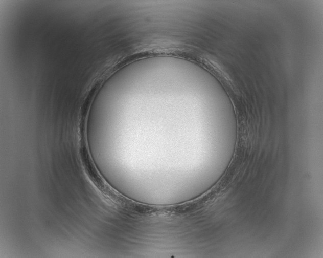 X0000074970586200609011018