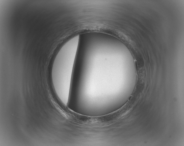 X0000074970589200609011018