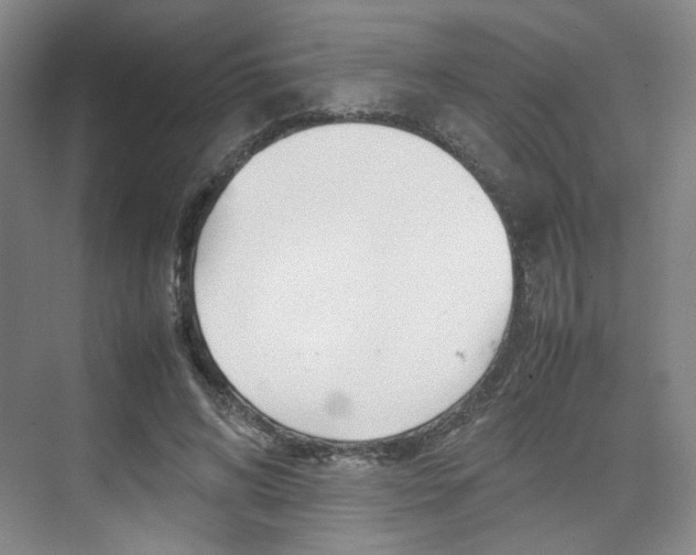 X0000074970592200609011018