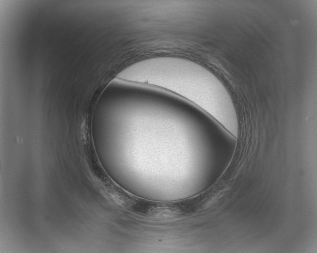 X0000074970597200609011018