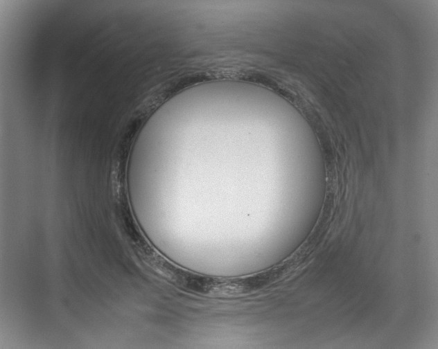 X0000074970599200609011018