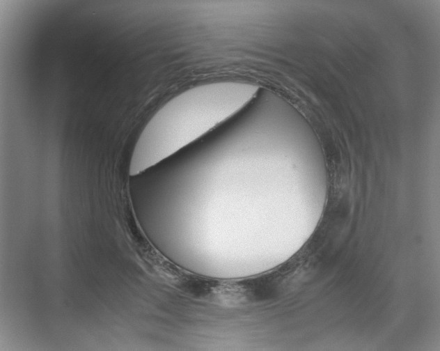 X0000074970603200609011018