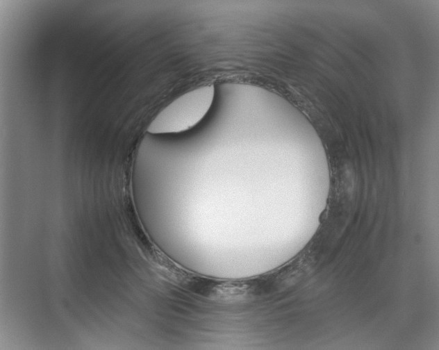 X0000074970606200609011018