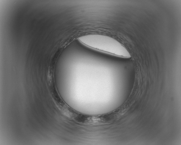 X0000074970607200609011018