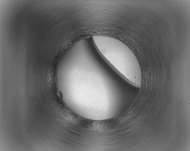X0000074970608200609011018