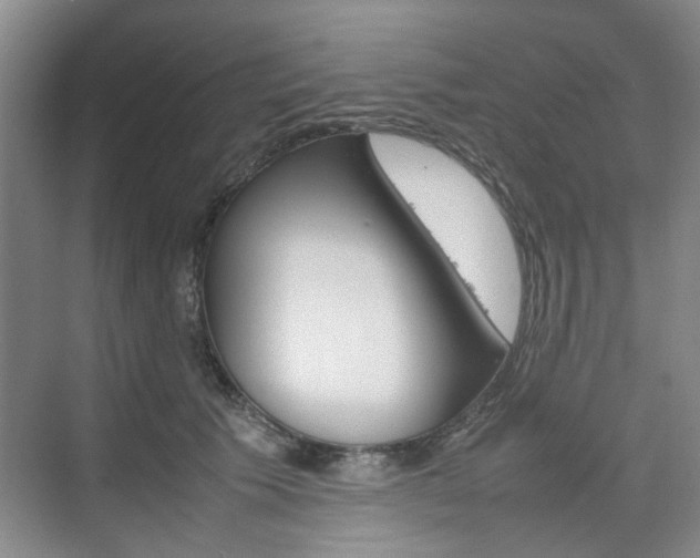 X0000074970609200609011018