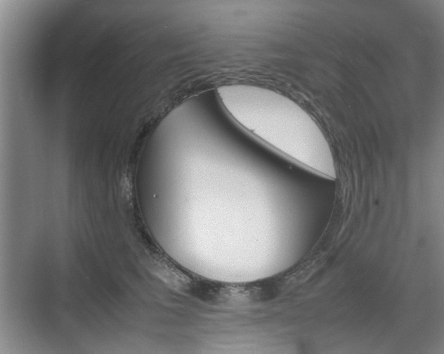 X0000074970613200609011018