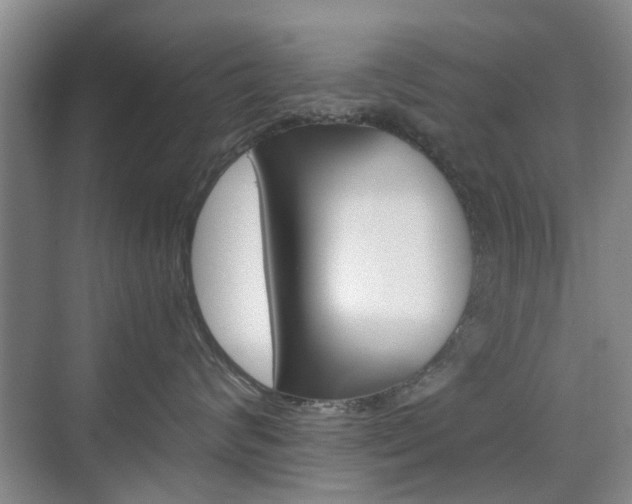 X0000074970624200609011018
